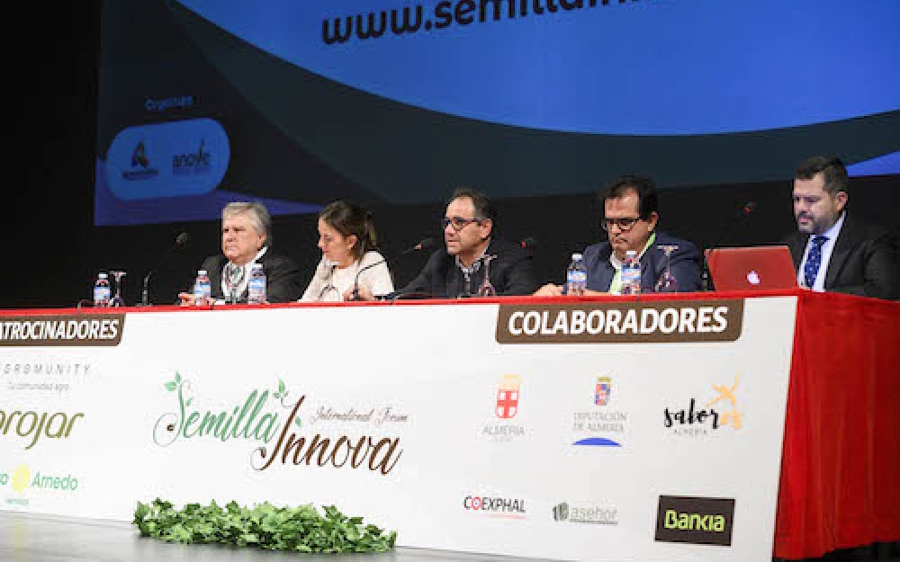 Ayuntamiento Almería licencia obras