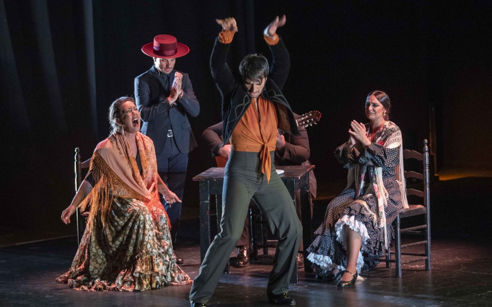 58º Festival Flamenco y Danza