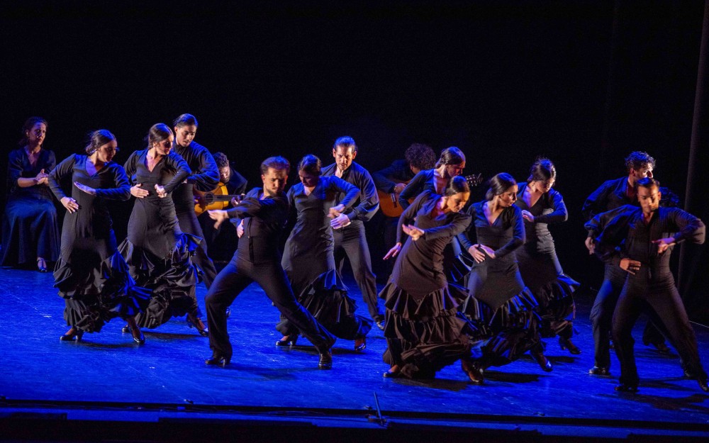 58º Festival Flamenco y Danza