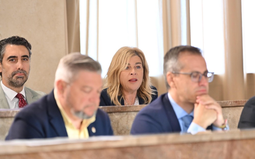 Pleno Paola Laynez