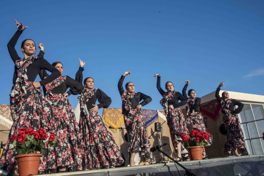 Flamenco