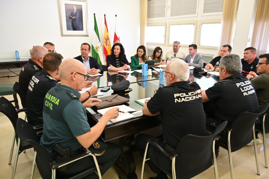 Junta Local Seguridad