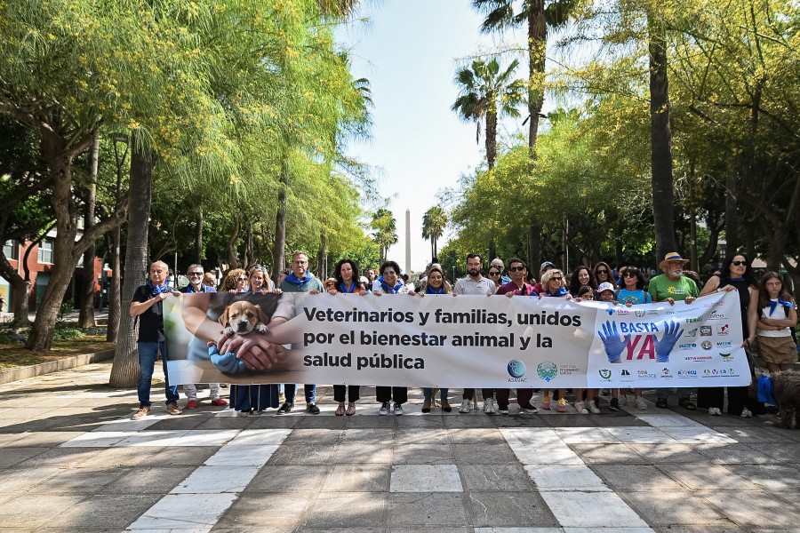 Veterinarios bienestar animal