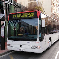 Nueva línea bus
