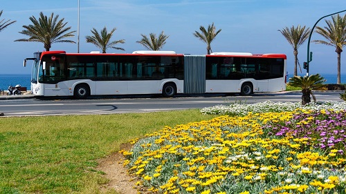 Ayuntamiento línea bus