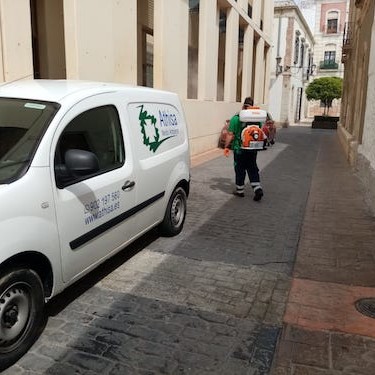 Ayuntamiento Almería desinfección