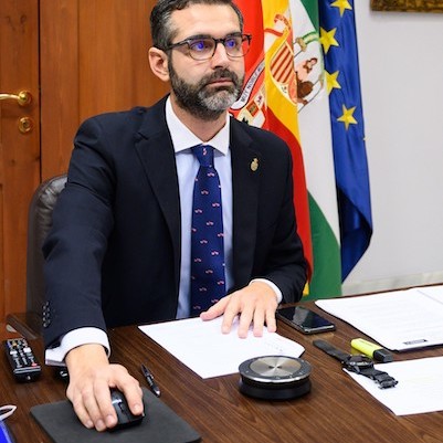 Alcalde Almería pleno telemático