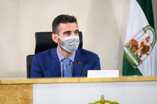 Alcalde Almería Pleno Ayuntamiento