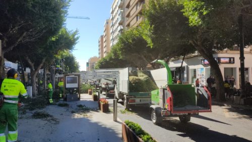 Corte tráfico poda Almería