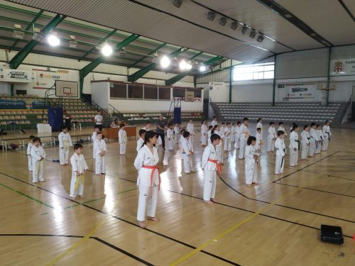 Almería deportes taekwondo