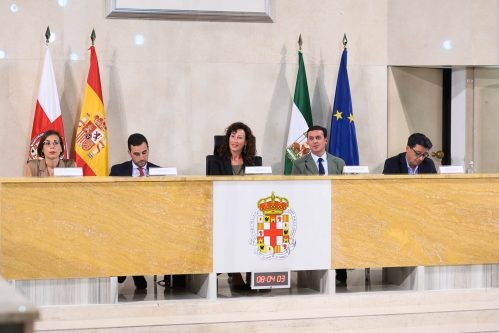 Pleno Ayuntamiento Almería alcaldesa